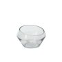 Dynamic Terrarium – 9.25″